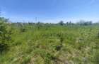 Teren intravilan, 390 MP, Malu Mare, Parcul Nicolae Romanescu - 3