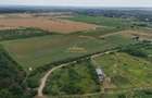 Teren intravilan Peris 10.000 mp pt complex de case - 6