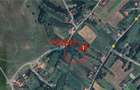 Teren intravilan 4600mp in Oarda de Sus - 6
