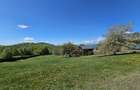 Pensiune in jud. Buzau, loc Ivanetu| Constructie lemn|Pozitionare impresionanta - 54