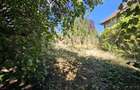 Teren cu casa renvabila | 1000mp | Dambul Rotund | Zona str. Coposu