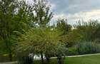 Apartament 3 cam cu vedere lac/La Gloire Parc du Lac - 10