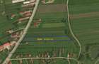 Teren intravilan în suprafață de 7.580 mp | DN65 Albota | Lângă OMV - 2