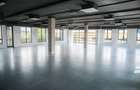 Birou ultramodern, 211 mp, prima inchiriere, zona Traian Vuia - 4