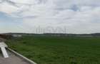 REL4001048 Teren Magurele - 16573 mp - Acces Dublu - Proximitate A0 - 2