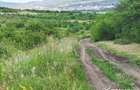 TEREN PENTRU REFUGIUL TAU IN NATURA - BORHANCI - 10