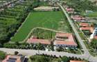 Casa cu istorie, teren de aproape 2 hectare si potențial rar | Petrovaselo - 15