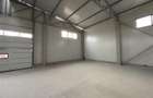 Inchiriere hala/depozit/spatiu industrial Magurele - Atomistilor, ILFOV - 9
