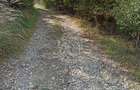 Teren  42,200 mp (4,22 hectare)-Parcelabil-investitie-Valea Jelnei - 3