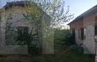 Urgent! Casă cu teren 5.038 mp, Pleșoiu-Arcești, stradă principală - 5