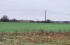 Vand teren agricol extravilan în Giroc - 1