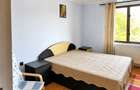Casă 200mp si teren 2000mp Negrea, Galati