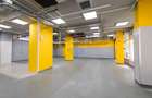 SPAȚIU COMERCIAL  | 231 MP | VAD COMERCIAL - 5