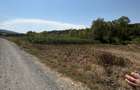 Teren 775mp intravilan Ortelec Pret 12500eur total - 3