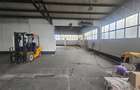 Vânzare Hala Industrială – 1000 mp cu Birouri – Parcul Industrial Măgurele - 4