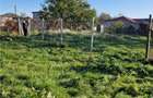 TEREN INTRAVILAN  |  MURFATLAR  |  CONSTANTA - 3