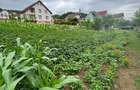 Teren de vanzare intravilan Bistrita 8 ari - 6