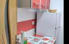 apartament 2 camere zona Bratianu mobilat utilat 45 mp - 2