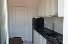 Apartament modern 1 camera Lunca Cetatuii - 3