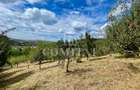 Casă + 1 apartament separat pe teren de 1.949 mp  cu panoramă Chinteni - 30