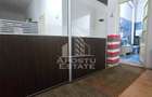 Proprietate cu potential turistic in Gurahont - 14
