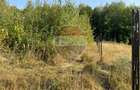 Oportunitate de investiție - 2.034 mp în Viștișoara (Țara Făgărașului)
