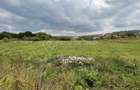 Teren intravilan, Proselnici, 2.300mp - 1