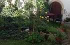 ULTRACENTRAL! Apartamet la Casa + gradina - 1