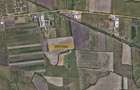 Teren Sacalaz 3,6 Ha - Pretabil PUZ Locuinte - 1