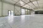 Reprezentanta PREMIUM| Hala Showroom 988mp, locatie exceptionala! - 9