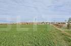 Teren in Razvad intravilan 1400mp cu acces la curent electric - 2