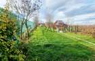 Casă P+M de vânzare – Valea Avrigului, 4 camere, teren 500 mp - 21