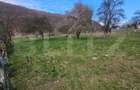 Teren intravilan generos de 4000 mp, cu priveliște montană, Cugir - 2