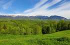 Teren Drumul Carului 3.8 ha