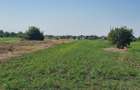 Teren intravilan 2.000 mp, două loturi construibile – Darvari, Ciorogârla - 12