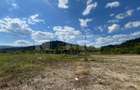 TEREN INTRAVILAN 2,26 HA | SUCEVITA | - 6