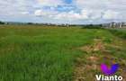 Oportunitate Teren Intravilan 9000mp-Turnisor - 4