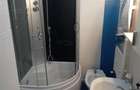 Apartament 3 camere Alexandru cel Bun - 4