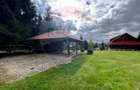 Casă de vacanță, de vânzare, pretabilă locuință sau afacere hotelieră - 27