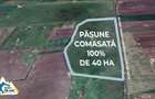 Teren PASUNE de 40ha, Comasat 100%, cu FS de 961 ml la Drumul European - 2
