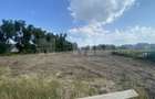Teren intravilan | Rădăuți – Zona Tolocii | 2.000 mp | Parcelabil - 1