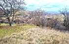 Teren intravilan 1.700 mp, front 68 m, zona Sopor - 5