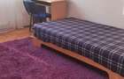 Apartament 2 camere decomandate pe Calea Dumbravii - 1
