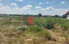 Vânzare 2 loturi de casă Dobreni Giurgiu - 6
