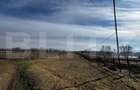 Teren extravilan 3100 mp cu ieșire la râul Mureș - 2