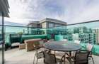 PENTHOUSE CU VEDERE PANORAMICA 258mp|| TERASE 215 MP || 3 LOCURI DE PARCARE - 29