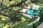 CORBEANCA - PARADISUL VERDE, VILA DEOSEBITA 5 CAMERE, PISCINA/GARAJ - 4