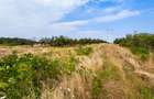 Parcele Teren Extravilan Livada si Pasune Lunca Corbului  Arges - 5
