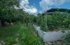 De Vânzare Casă Vânătorilor 9 ari teren - 15
