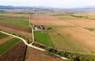 FILM! Zona extinsa, teren mixt,18.000 mp, ideal agro-investitii, Rotbav, Brasov - 12